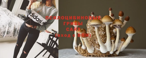 прущие крисы Коряжма