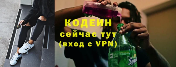 ГАЛЛЮЦИНОГЕННЫЕ ГРИБЫ Кодинск