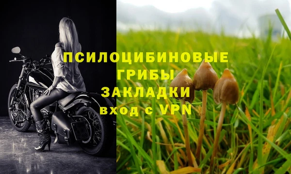 прущие крисы Коряжма