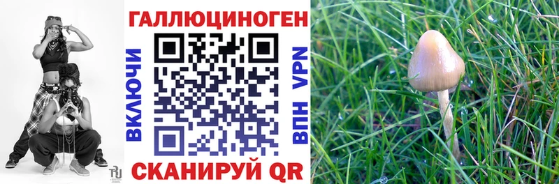 OMG как зайти  Курчатов  Галлюциногенные грибы ЛСД  дарк нет как зайти  где можно купить  